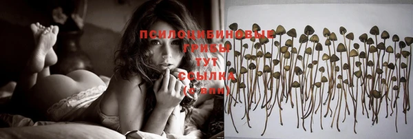 шишки Алексин