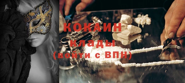 шишки Алексин