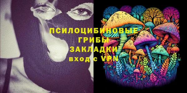 шишки Алексин